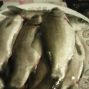 IMG00038.jpg