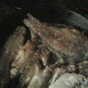 IMG00007.jpg