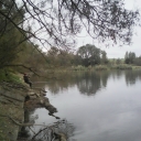 IMG00037.jpg